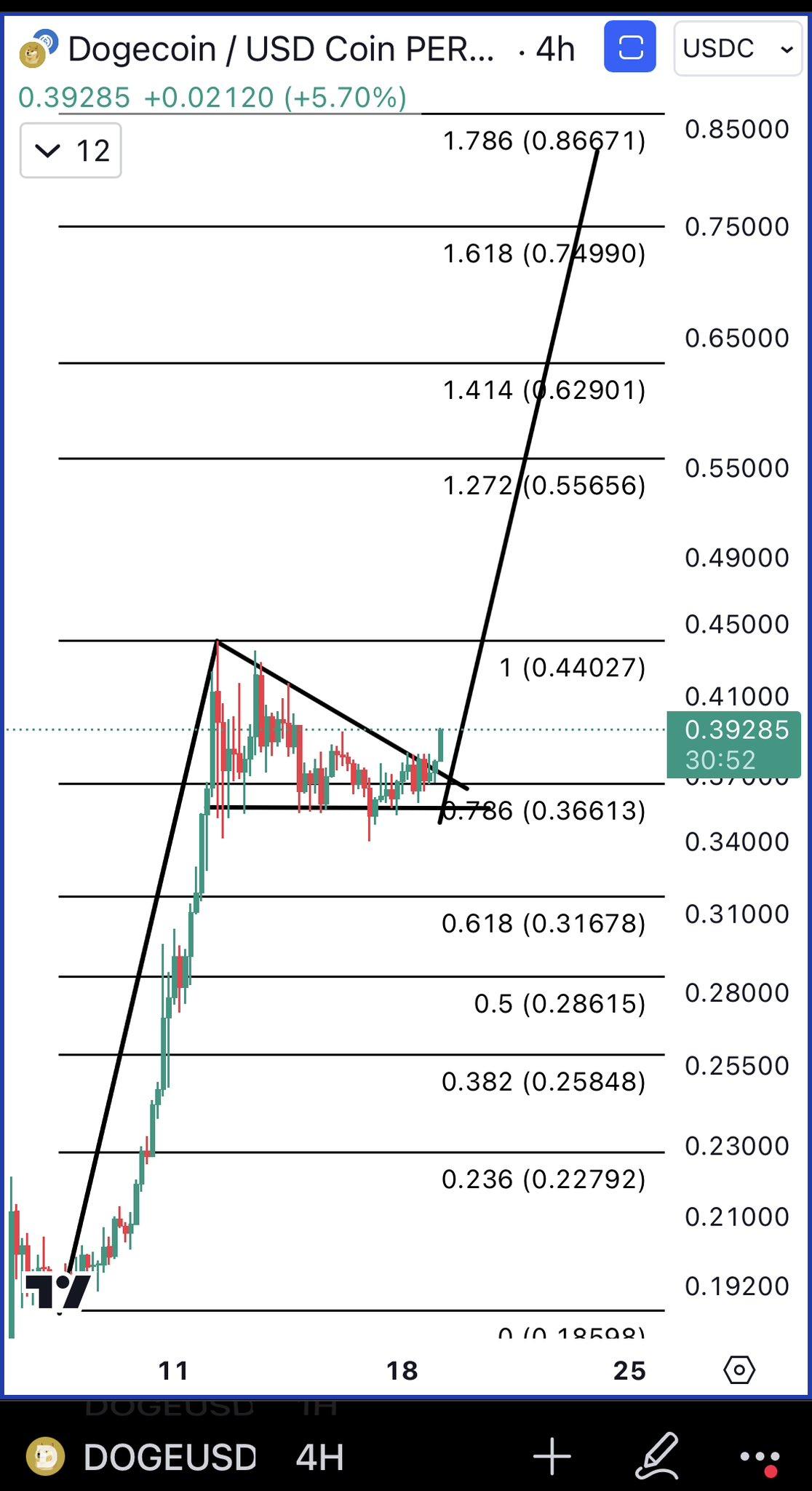 Analysis: Dogecoin Surges to /uploadfile/coin/2024/1119/1s3c031a86c9da69s3c339.jpg, Analysts Predict Another Burst After Expected 120% Rebound