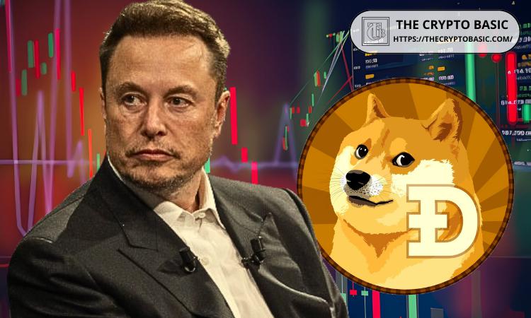 If Doge Market Cap Surpasses Elon Musk\